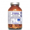 Chaga Inonotus Obliquus fungo Bio europeo - polvere e estratto - 180 capsule veg da 500mg