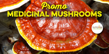 Promozione MEDICINAL MUSHROOMS PASSIONEAT